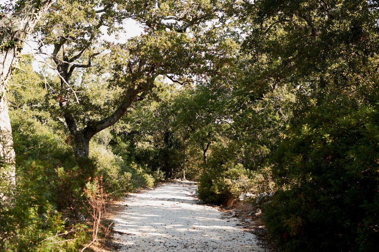 Masseria Grieco Bed & Breakfast Ostuni Bagian luar foto