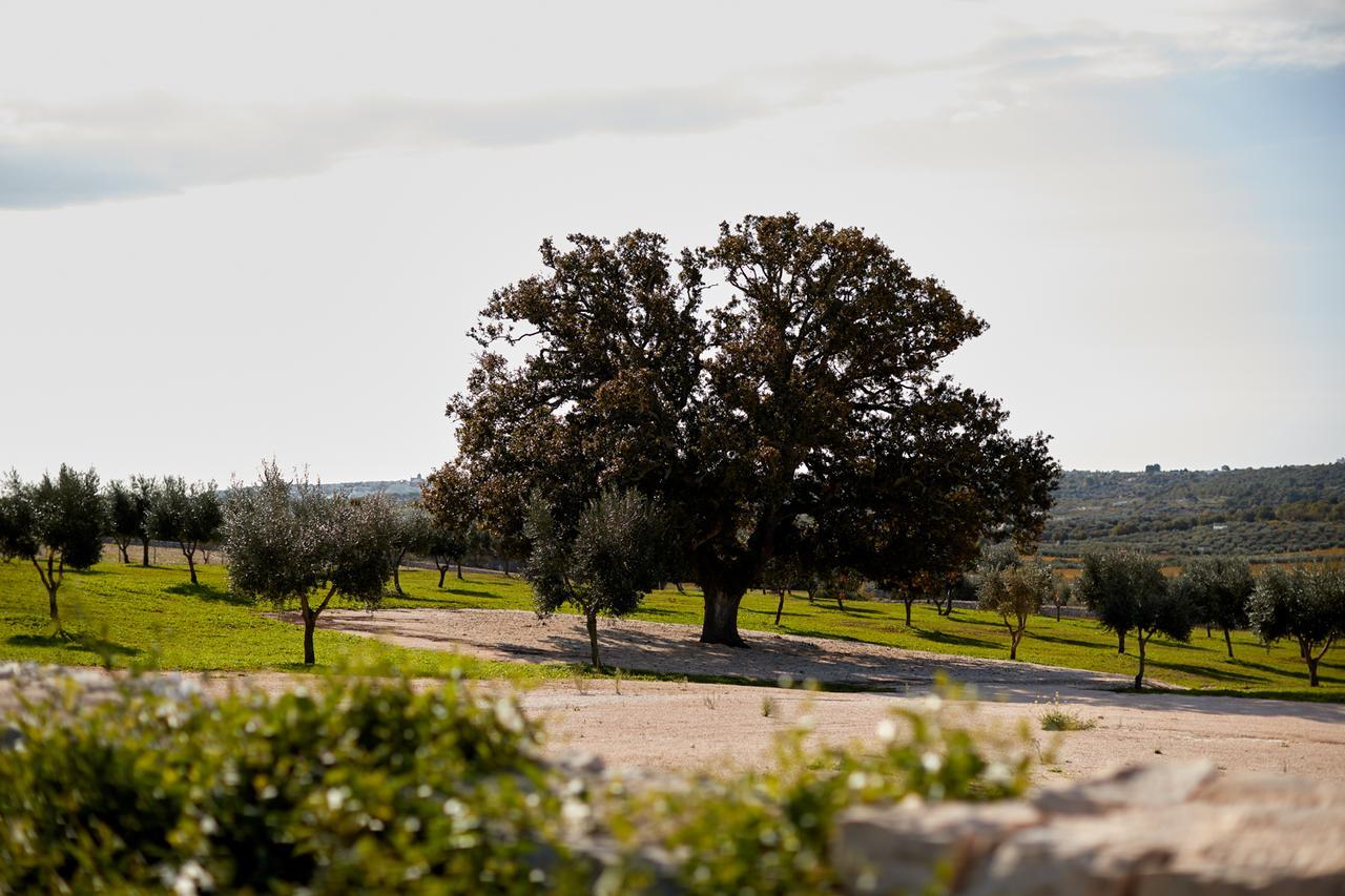 Masseria Grieco Bed & Breakfast Ostuni Bagian luar foto